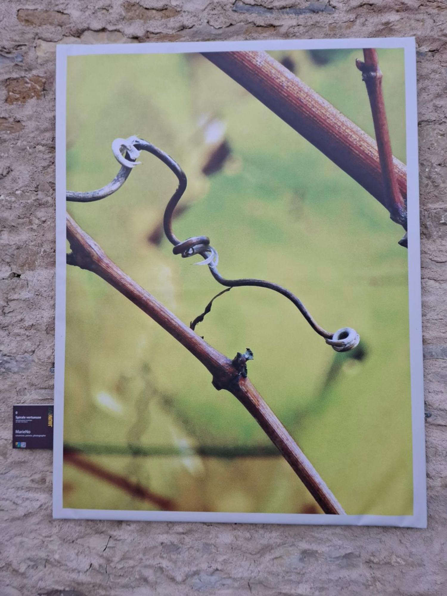 Maison D'Eusebia Château-Chalon Buitenkant foto